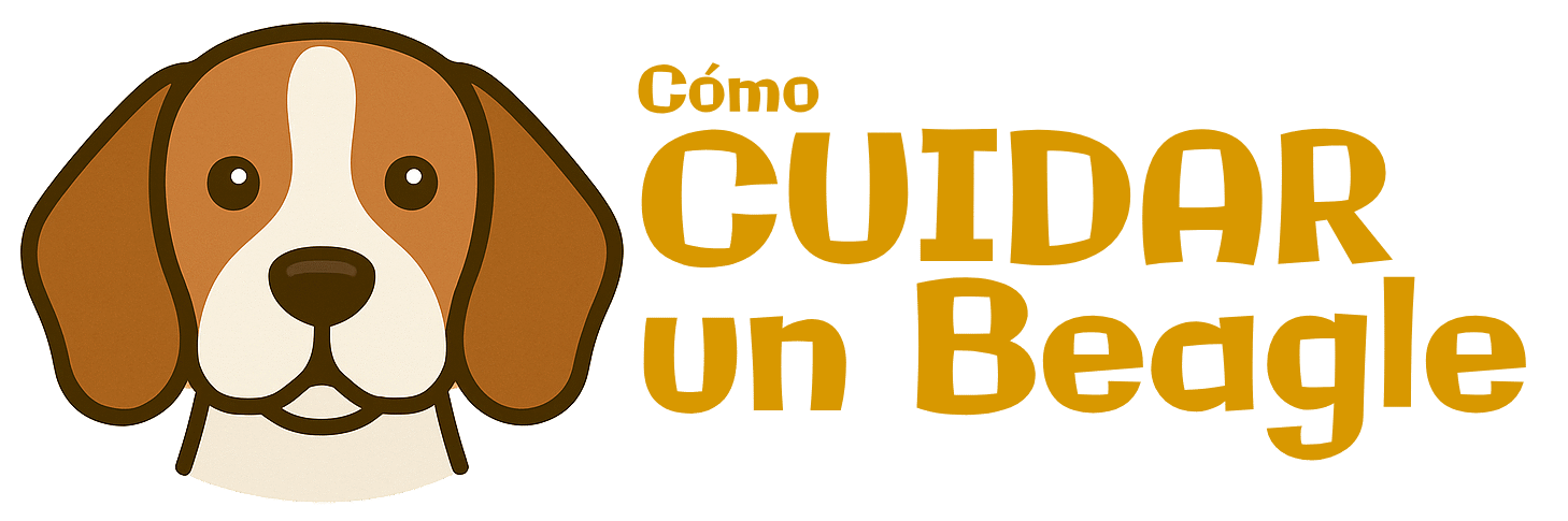 Tips Para Cuidar un Beagle